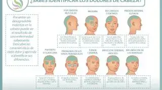Los diferentes dolores de cabeza, conoce las características de cada cefalea Los diferentes dolores de cabeza, conoce las características de cada cefalea