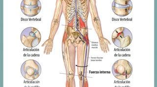 Los efectos de la gravedad sobre nuestro cuerpo y las articulaciones