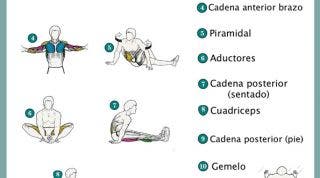 Ejercítate y estira, la mejor forma de evitar lesiones y mantenerte ágil