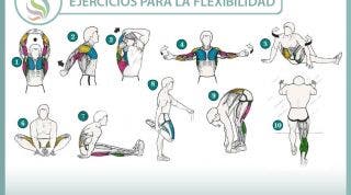 Ejercicios para mejorar tu flexibilidad y cuidar tu salud