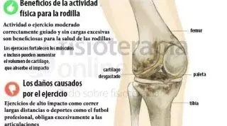 Realiza ejercicio físico pero no te pases, ten cuidado con las consecuencias, sobrecargas, roturas de fibras, lesiones articulares