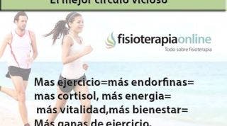 El circulo de la felicidad, ejercicio, endorfinas, cortisol ,bienestar 