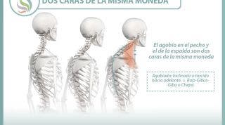 La postura corporal y los estados emocionales son... dos expresiones de la misma cosa