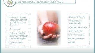 Cada día está mas claro, alimentación, salud y enfermedad van de la mano
