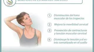Estira el trapecio y mejora tu dolor de cuello y espalda