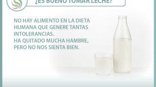 ¿Es bueno tomar leche? Te contamos por qué no