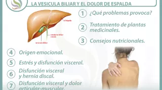 7 claves para entender la relación  entre la vesícula biliar y el dolor de espalda