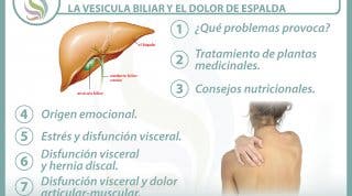 7 claves para entender la relación  entre la vesícula biliar y el dolor de espalda