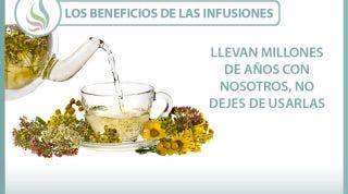 Los beneficios de las infusiones