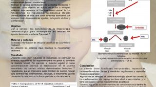 Mesoterapia homotoxicológica para fisioterapeutas Mesoterapia homotoxicológica para fisioterapeutas
