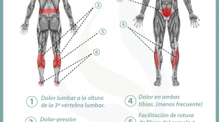 Relación entre vejiga y dolor de piernas y espalda
