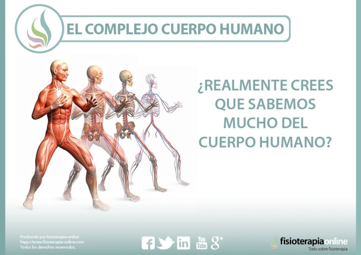 El complejo cuerpo humano