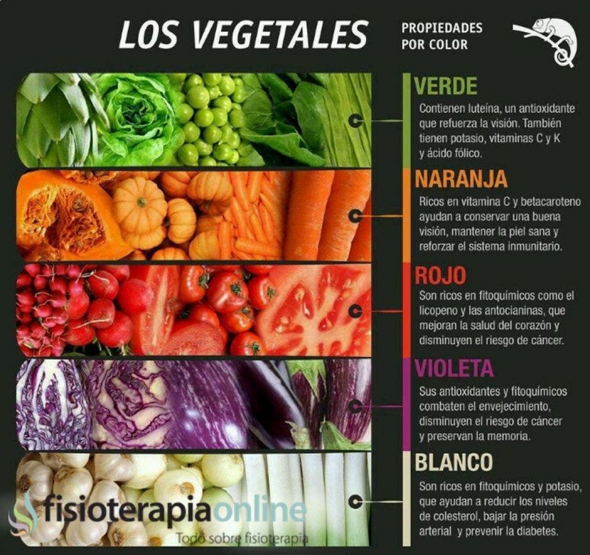 El arcoiris vegetal