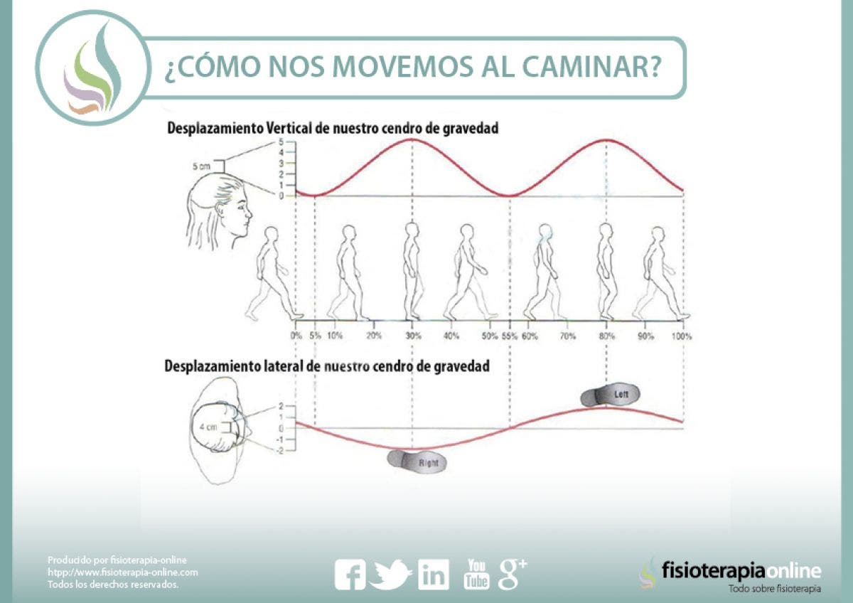 ¿Cómo caminamos? Variaciones del centro de gravedad al caminar