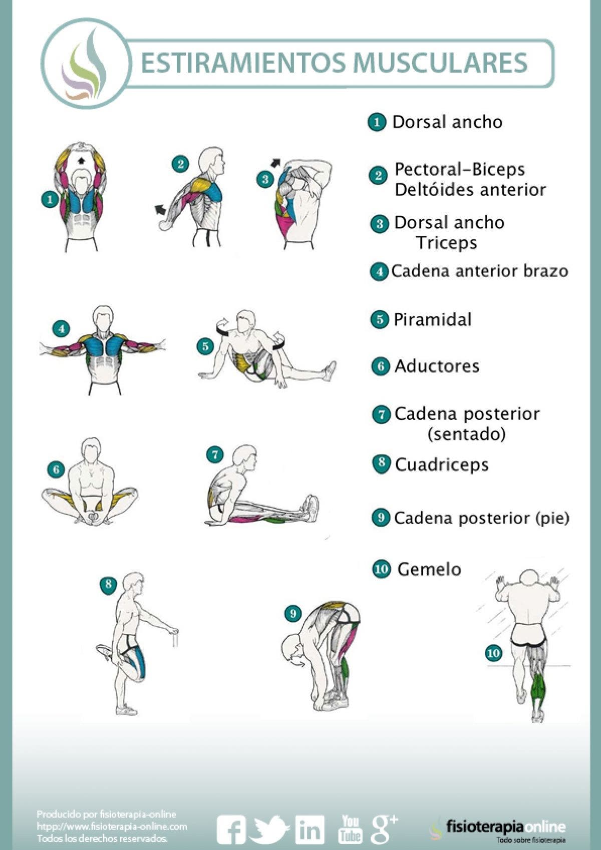 Ejercítate y estira, la mejor forma de evitar lesiones y mantenerte ágil