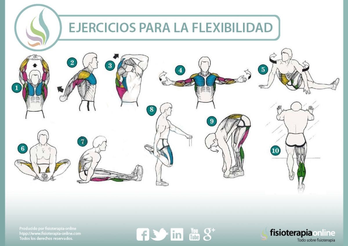 Ejercicios para mejorar tu flexibilidad y cuidar tu salud