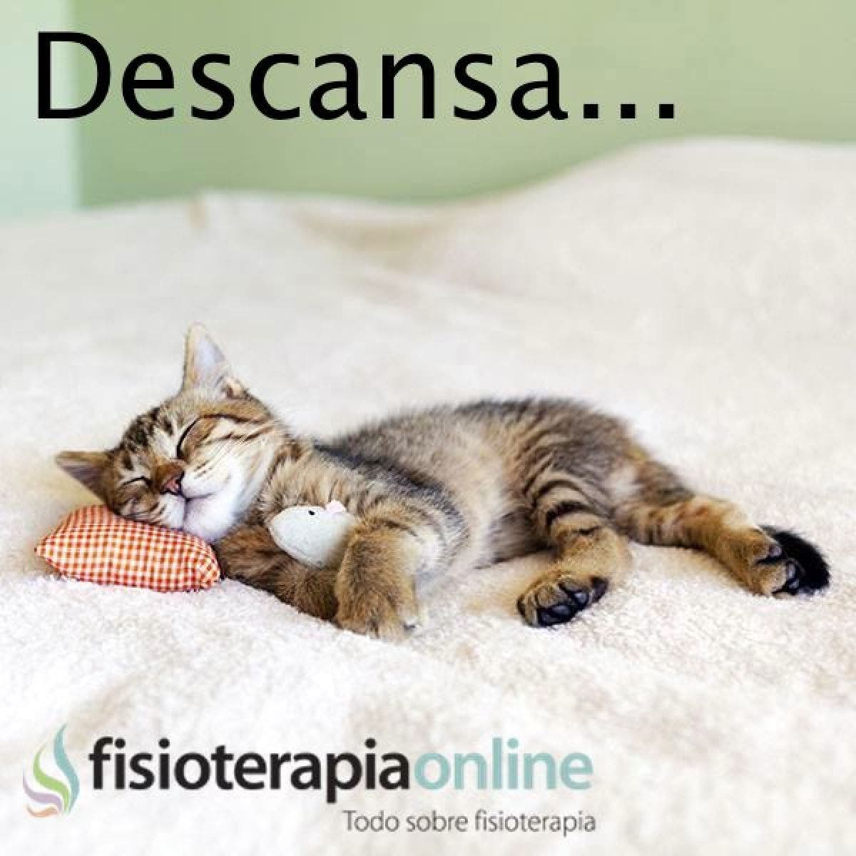 Dormir y descansar es fundamental, no lo olvides