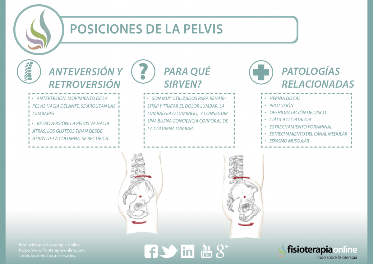 La relación entre la pelvis y la columna lumbar es evidente, te enseñamos el porqué y el como de esta conexión