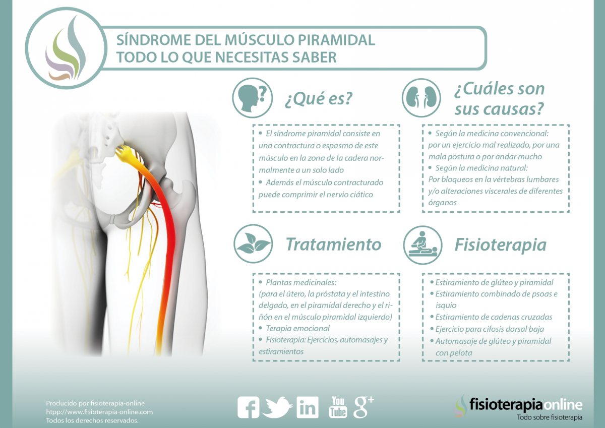 Síndrome del músculo piramidal. Qué es, causas, síntomas y tratamiento