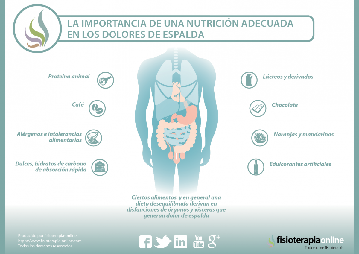 Como te alimentas y como te sientes está muy relacionado, 31 reveladores vídeos sobre alimentación y dolor