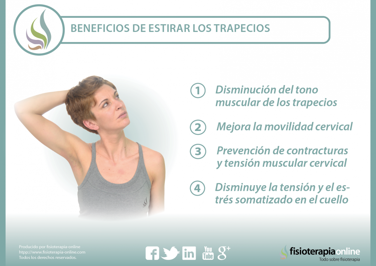 Estira el trapecio y mejora tu dolor de cuello y espalda