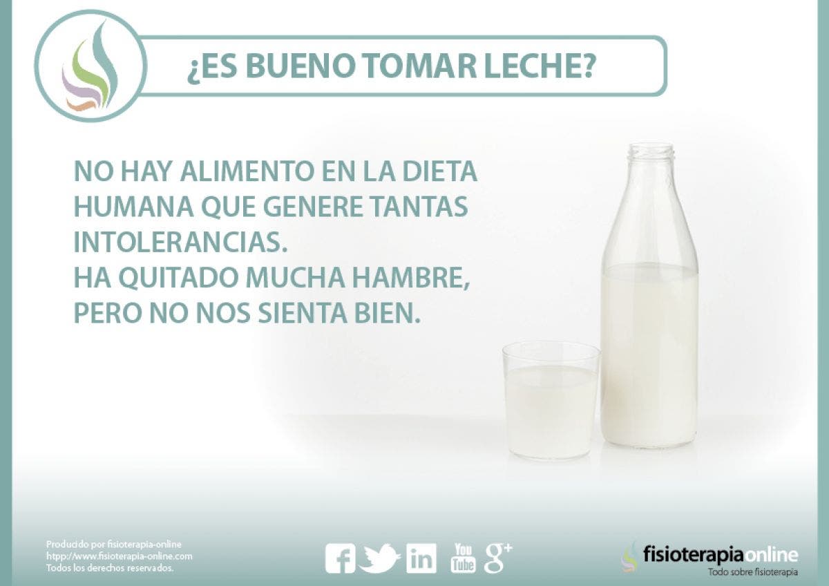 ¿Es bueno tomar leche? Te contamos por qué no