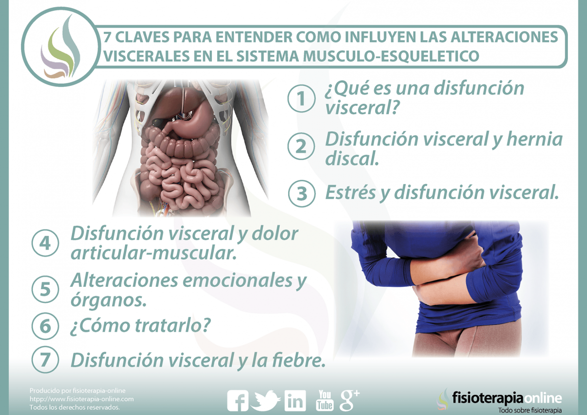 7 claves para entender cómo influyen las alteraciones viscerales en el sistema músculo-esquelético