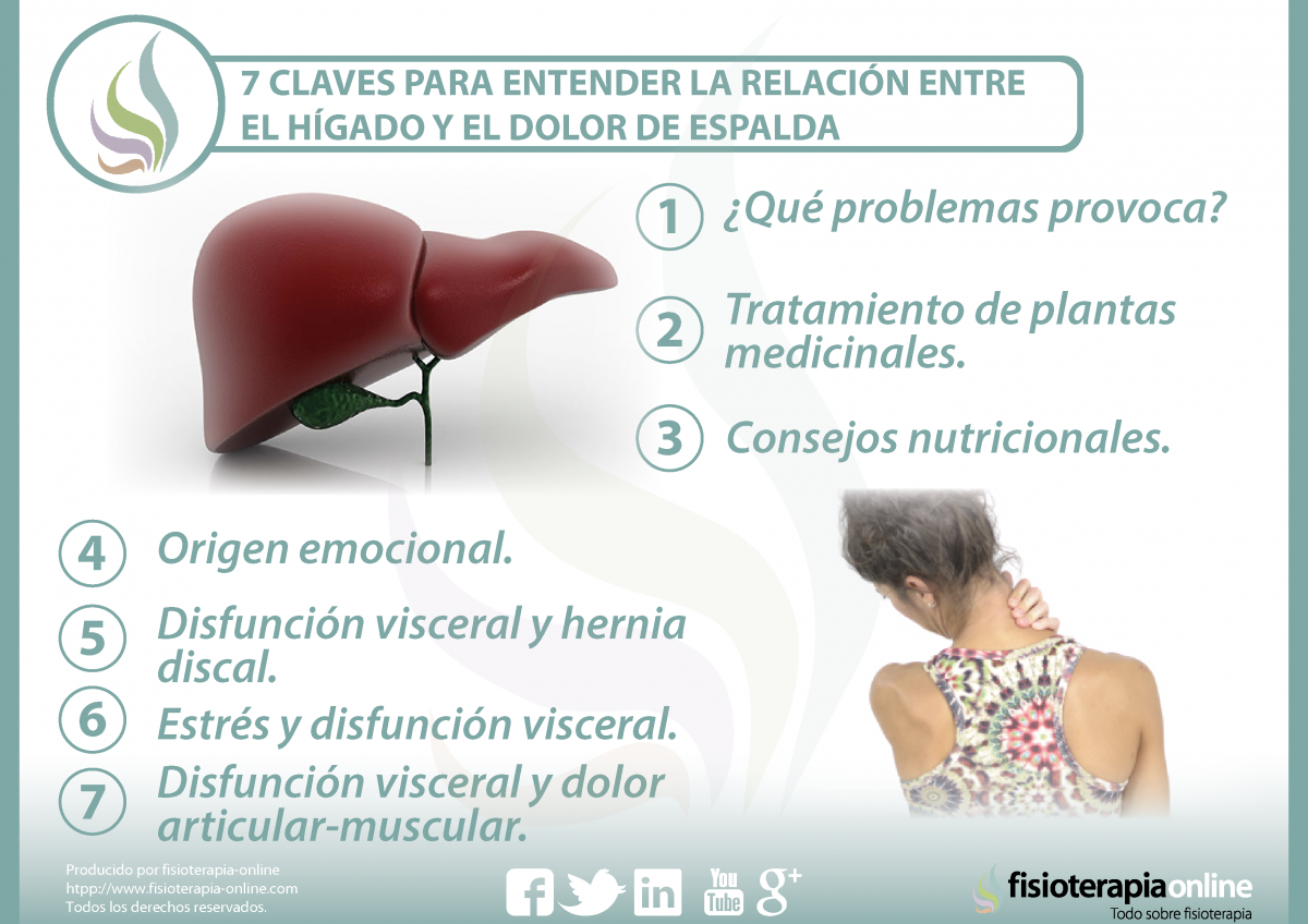 7 claves para entender y tratar la relación  entre el hígado y el dolor de espalda