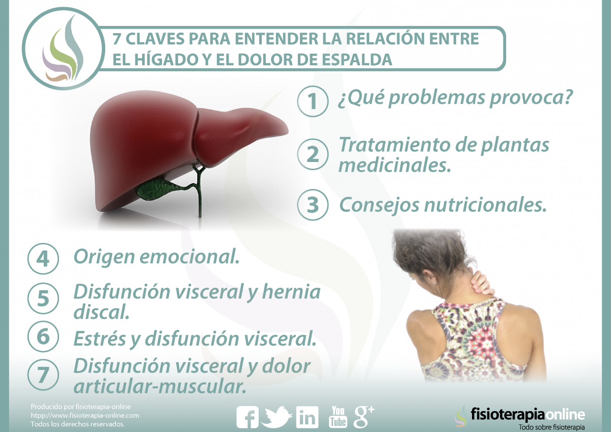 7 claves para entender y tratar la relación entre el 7 claves para entender y tratar la relación entre el