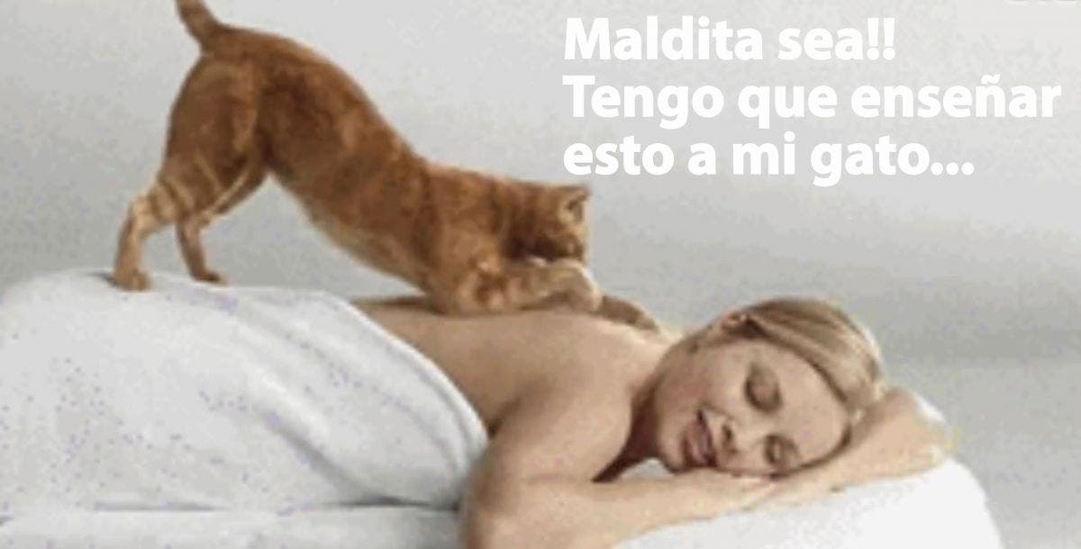 ¡Maldita sea! ¡Tengo que enseñar a hacer esto a mi gato!