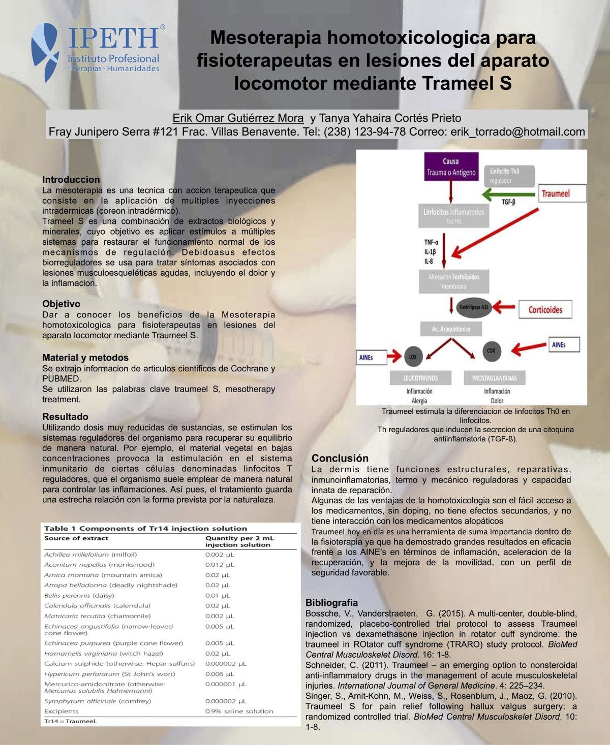 Mesoterapia homotoxicológica para fisioterapeutas