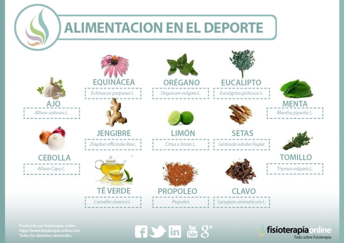 Plantas medicinales y antibióticos naturales