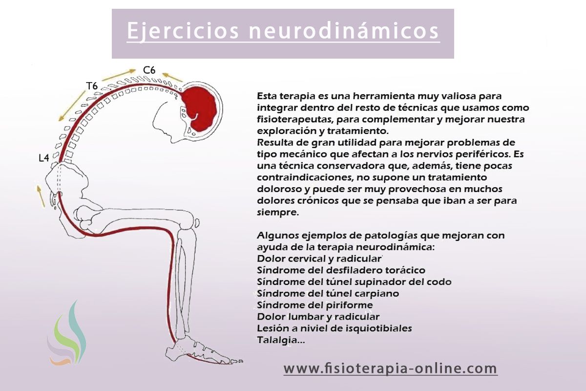 Neurodinámica o movilización del sistema nervioso. ¿Que es y para que sirve?