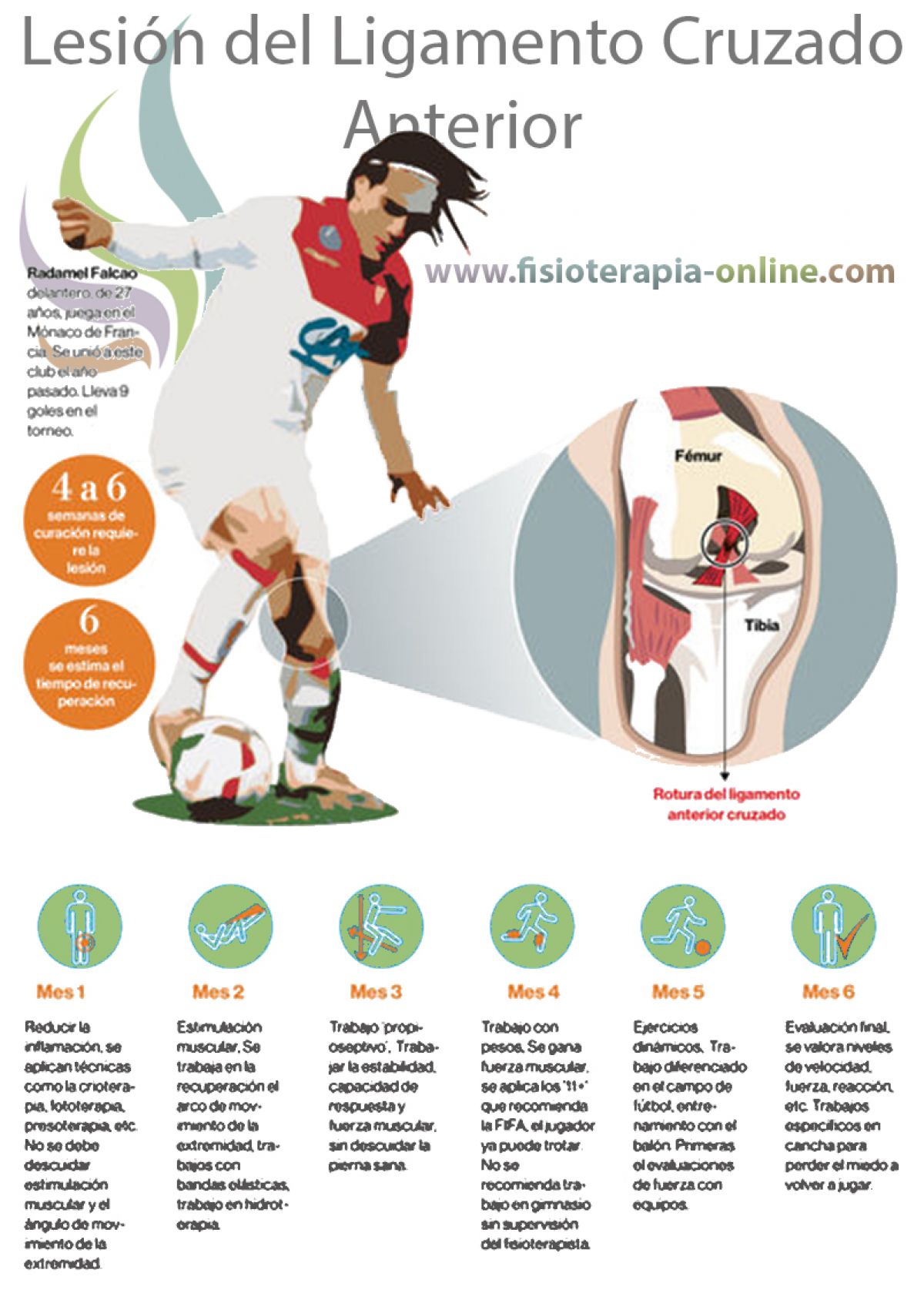 El castigo del futbolista, conoce todos los detalles sobre la lesión de ligamento cruzado de la rodilla 