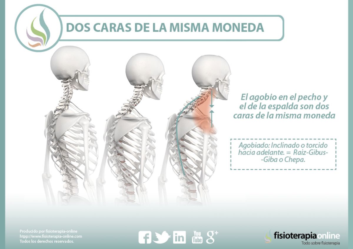 La postura corporal y los estados emocionales son... dos expresiones de la misma cosa