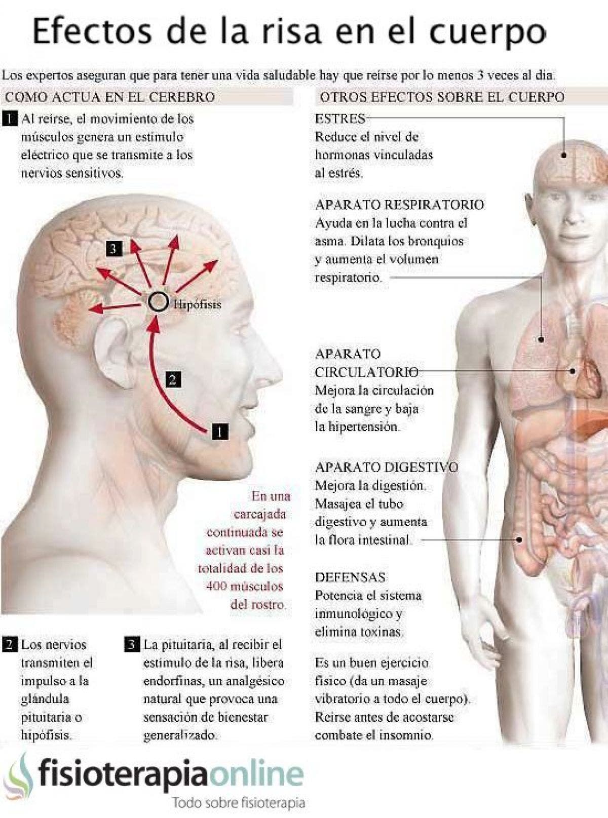 La risa y sus efectos beneficiosos en el cuerpo y la salud