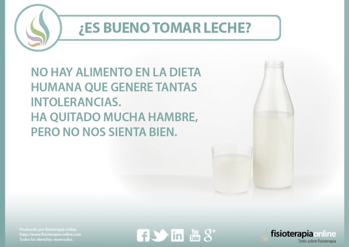 ¿Es bueno tomar leche? Te contamos por qué no