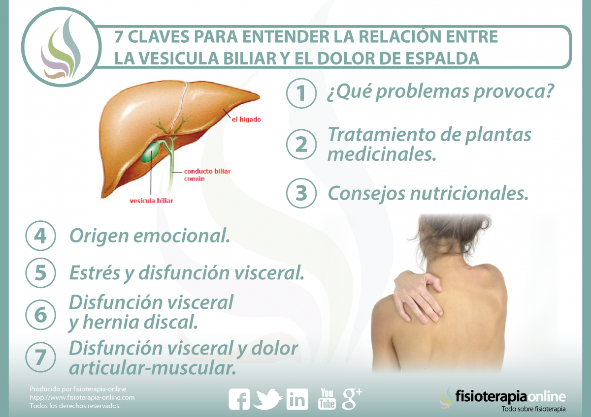 7 claves para entender la relación  entre la vesícula biliar y el dolor de espalda