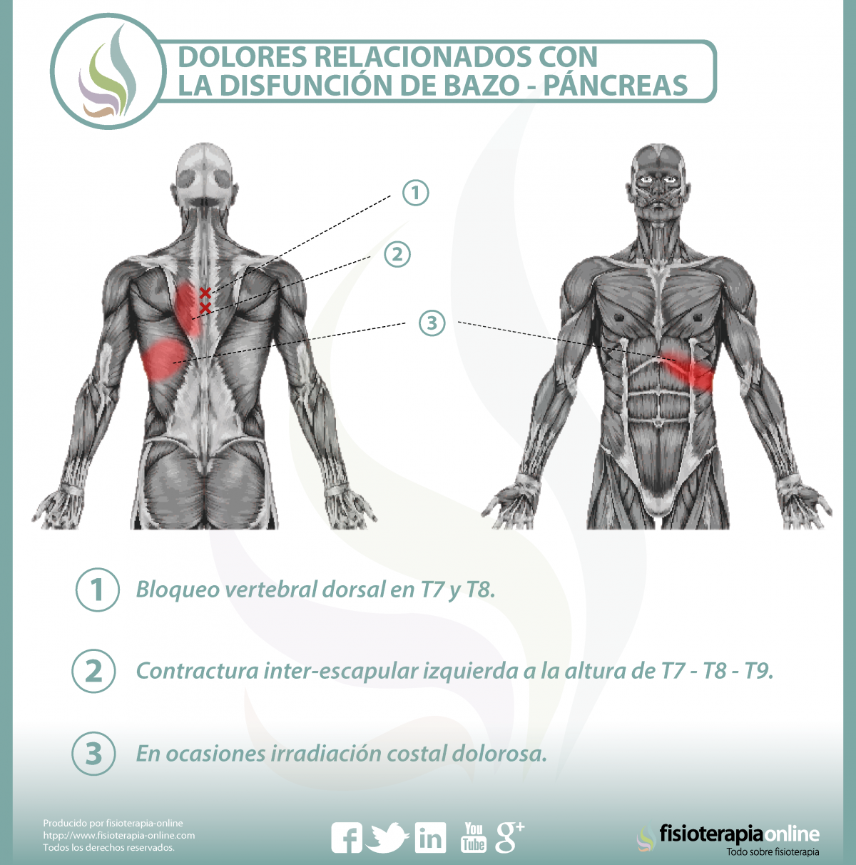 Relación entre el páncreas y el dolor de espalda.