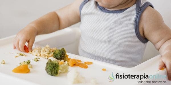 Alimentación complementaria o Baby led weaning: qué es, cómo iniciar, consejos y beneficios