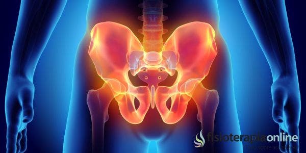 6 Curiosidades que no sabías sobre la pelvis, su anatomía y su funcionamiento