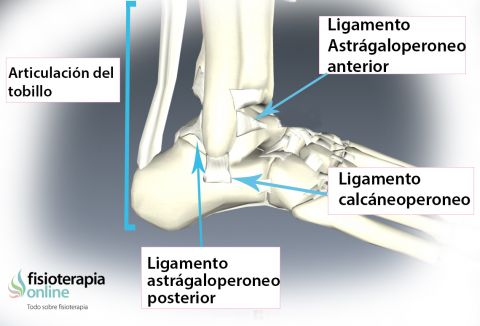 Tratamiento y recuperación de un esguince o entorsis de tobillo