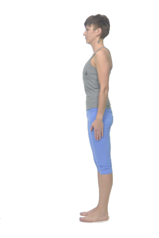 ejercicio para adelgazar los brazos y espalda encorvadas