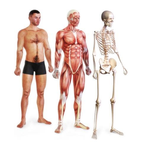 Postura corporal y malas posturas Postura corporal y malas posturas