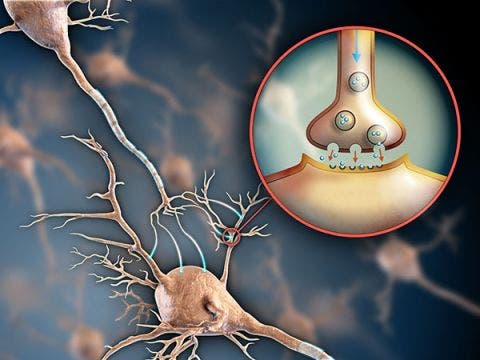 fisioterapia en neurología o neurológica