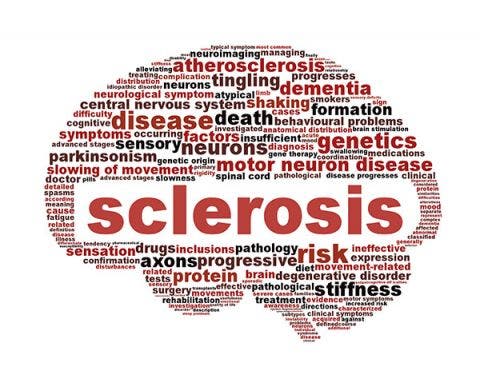 Etimología y sentidos de las palabras del cuerpo Etimología y sentidos de las palabras del cuerpo