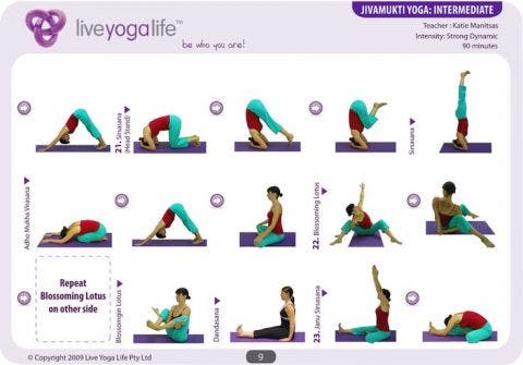 Tipos de yoga: ¿Cuál es mejor para mi y mis características?