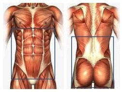 Faja abdominal y lumbar