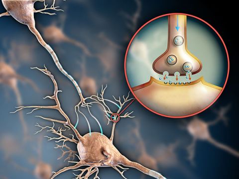 fisioterapia en neurología o neurológica