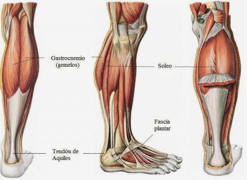 Neuropatia peroneal bilateral